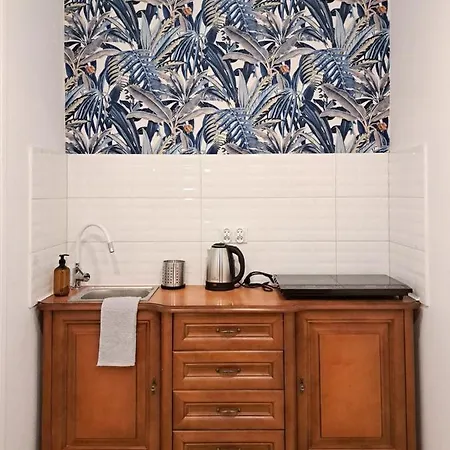 W Centrum Lublina Ul. Leszczynskiego Διαμέρισμα *